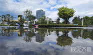 雨后齐鲁